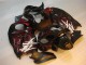 1996-2007 Black Red Flame Suzuki GSXR 1300 Hayabusa Motorbike Fairing Canada 1996-2007 Black Red Flame Suzuki GSXR 1300 Hayabusa Motorbike Fairing Canada