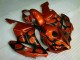 2004-2005 Brown Black Honda CBR1000RR Motorcylce Fairings Canada 2004-2005 Brown Black Honda CBR1000RR Motorcylce Fairings Canada