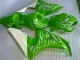 2006-2007 Green Honda CBR1000RR Motorbike Fairings Canada 2006-2007 Green Honda CBR1000RR Motorbike Fairings Canada