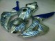 2006-2007 Blue Flame Silver Honda CBR1000RR Motorcycle Fairing Kits Canada 2006-2007 Blue Flame Silver Honda CBR1000RR Motorcycle Fairing Kits Canada